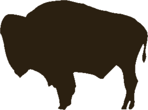 Wyoming bison